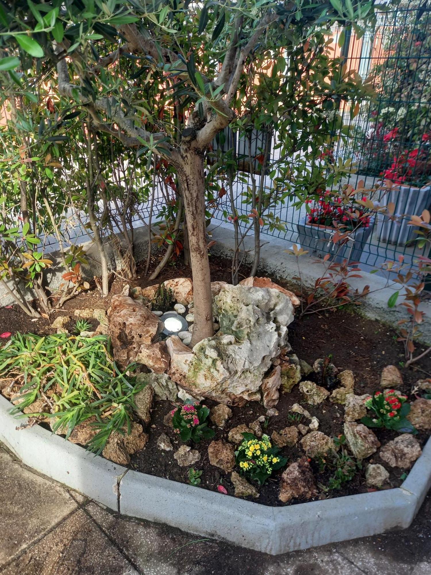 La Casa Di Piccoli Di Gabriele Martelli E Catia Pacetti - Appartamento 安科纳 外观 照片